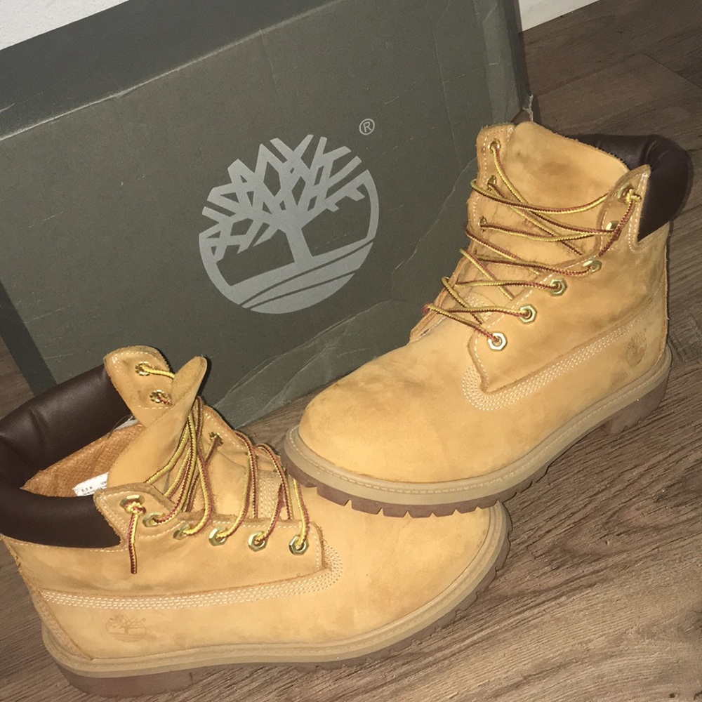 Timberland 6’ Premium Waterproof Boots
